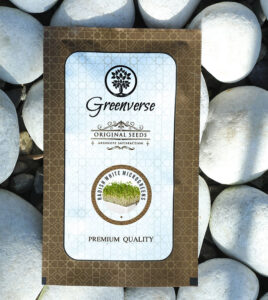 Radish White Microgreens