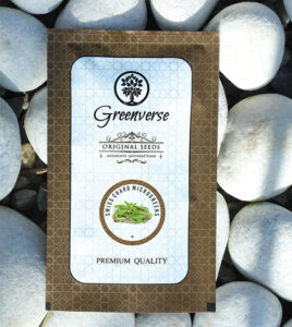 Swiss Chard Microgreens